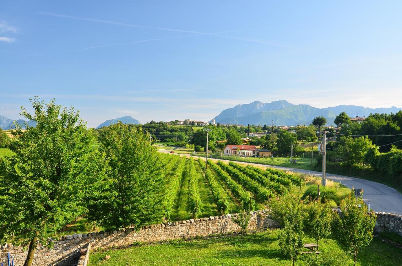 Agriturismo Borgo Floreani Vendoglio Exteriör bild